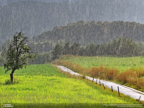 rain green Rainy Countryside, Rain Landscape, National Geographic Photo Contest, Rain And Thunderstorms, I Love Rain, Rainbow Rain, Rain Storm, Image Nature, Love Rain