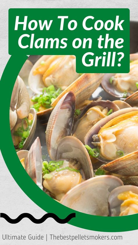 How To Cook Clams on The Grill? How To Cook Steamers, Clams On The Grill, Baked Clams Recipe, How To Cook Clams, Grilled Clams, Bbq Seafood, Seafood Dish Recipes, Steamed Clams, Grilled Oysters