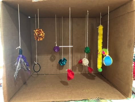 My cats love this homemade toy box! Cartoon Box Diy, Cat Enrichment, Pets Stuff, Kitty Toys, Homemade Cat Toys, Cat Fun, Playground Ideas, Diy Cat Toys, Cat Playground