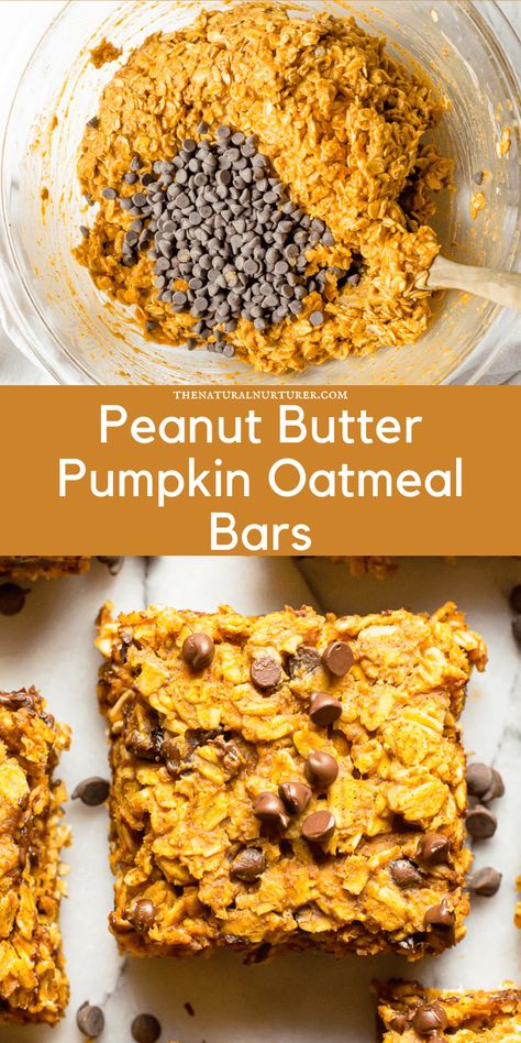 These Peanut Butter Pumpkin Oatmeal Bars are the perfect snack or fun treat! Full of fiber from oats and pumpkin, healthy fats from peanut butter, and perfectly sweetened with a little brown sugar + chocolate chips. These bars are perfect as part of meal prep, made from pantry staples, and are gluten free and dairy-free. Pumpkin Oatmeal Bars Breakfast, Peanut Butter And Pumpkin, Pumpkin Oatmeal Bars Protein, Peanut Butter Oatmeal Breakfast Bars, Baked Pumpkin Oatmeal Bars, Oat Pumpkin Bars, Healthy Oatmeal Pumpkin Bars, Peanut Butter Pumpkin Bars, Breakfast Pumpkin Bars