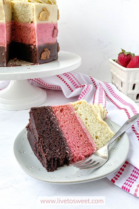 Easy Easter Dessert Recipes, Vanilla Dessert Recipes, Desserts To Make At Home, Neapolitan Cake, Chocolate Easter Cake, Banana Pudding Poke Cake, Vanilla Desserts, Strawberry Cake Filling, Strawberry And Chocolate