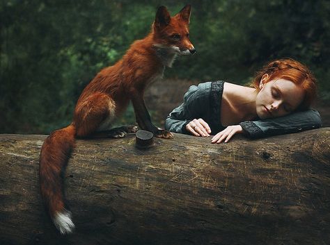 Redheads are Magical! And photos with this red fox proves it. Tierischer Humor, Red Foxes, Foxes Photography, Fairytale Photography, Fantasy Photography, Foto Vintage, Foto Art, 영감을 주는 캐릭터, Red Fox