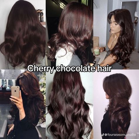 Aesthetic Hair Colour Ideas, Cherry Chocolate Brunette Hair, Cherry Chocolate Hair, Olive Skin Hair, Chocolate Cherry Hair Color, Cherry Brown, Wine Hair, Cherry Hair, Brown Hair Looks