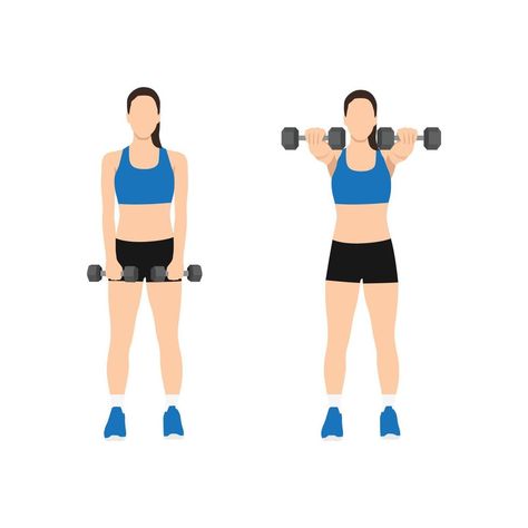 Woman doing Two arm dumbbell front shoulder raises exercise. Flat vector illustration isolated on white background Leg Lifts Workout, Shoulder Raises, Push Workout, Flat Vector Illustration, Leg Lifts, Bicep Curls, Flat Vector, Upper Body, Vector Art