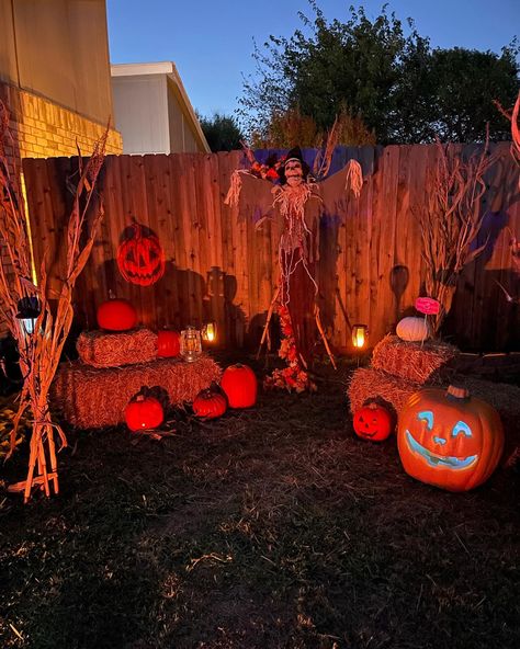 Spooky scarecrow in yard pumpkin patch Scary Pumpkin Patch Decorating Ideas, Pumpkin Patch Yard Decor, Scary Pumpkin Patch Decorations, Halloween Pumpkin Patch Yard, Pumpkin Patch Halloween Decorations, Haunted Pumpkin Patch Ideas, Pumpkin Scarecrow Diy, Pumpkin Walkway, Haunted Pumpkin Patch Yard