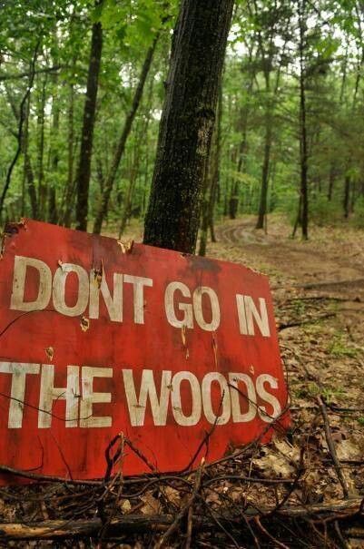 mark my woods if you see this sign on halloween dont ignore it or it will be your doom....dont go into the woods , ominous warning Hayride Ideas, Halloween Hayride, Haunted Trail Ideas, Trail Ideas, Haunted Trail, Images Terrifiantes, Hay Ride, Haunted Woods, Marla Singer