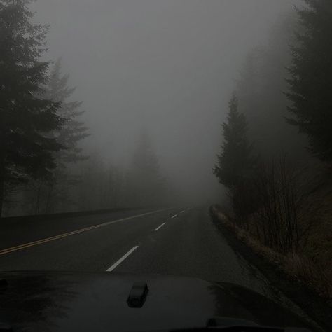 Dark Naturalism, Dark Forest Aesthetic, Rainy Day Aesthetic, Foggy Forest, Dark Nature Aesthetic, Dark Paradise, Gray Aesthetic, The Fog, Arte Horror