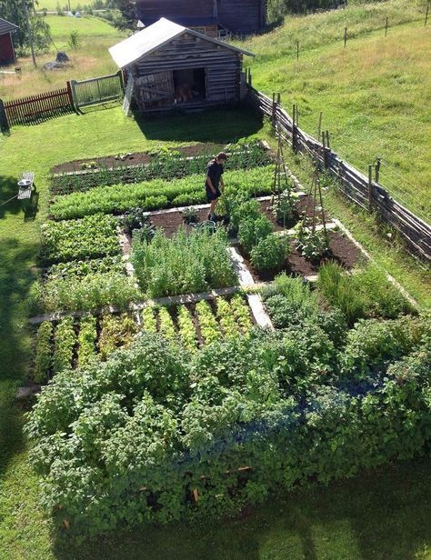 Farm Garden Layout, Plantarea Legumelor, Kebun Herbal, Garden Layout Vegetable, Homestead Farm, Backyard Vegetable Gardens, Desain Lanskap, Small Backyard Gardens, Farm Garden