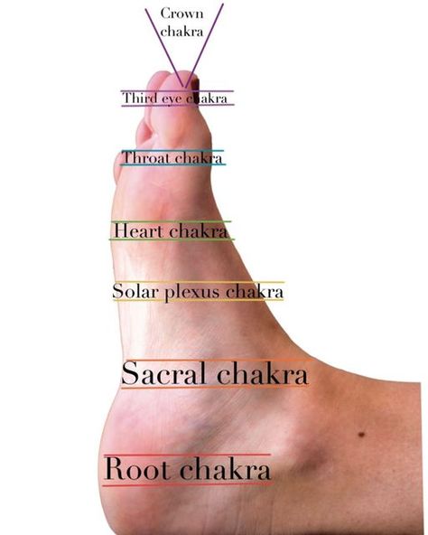 Heidi McKay on Instagram: "The foot zone is the ability to access the body through the feet. We access organs and systems (ie bones, muscles, nerves, blood, lymph, etc.). This practice has been around for thousands of years and hundreds of cultures. Because the ENTIRE body can be accessed through the feet, we can also access the chakras. Chakras are an ancient Hindu concept that allows the body to align through major points on the body when accessed correctly. When we access the entire bod Foot Zoning Chart, Feet Chakras, Pressure Point Therapy, Foot Reflexology Massage, Chakra Health, Root Chakra Healing, Aura Healing, Reiki Healer, Nursing School Survival