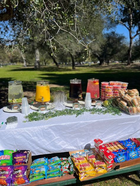 Gender Reveal Party Refreshments Ideas Snacks Table, Snack Display Ideas Party, Food Table Display Party, Park Parties Ideas, Food Ideas For Park Birthday Party, Outdoor Food Display, Kids Party Snack Table, Snack Table For Party, Chips Display For Party