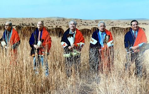 The five living Osage chiefs (from left) John Red Eagle, Scott BigHorse,Geoffrey Standing Bear,Charles Tillman and Jim Gray. COURTESY/Norris Sreetman Osage Nation, American Indian Quotes, Red Eagle, Tallgrass Prairie, Native American Quotes, Native American Photos, Photo Shoot Location, Animals Quotes, Native American Heritage