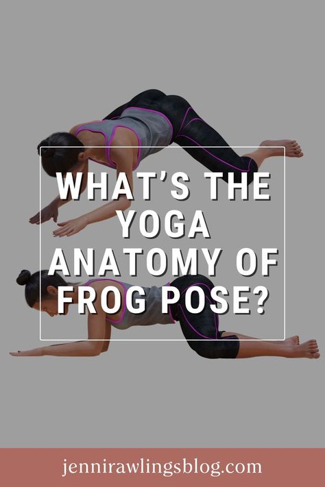 What's the Yoga Anatomy of Frog Pose? — Jenni Rawlings Yoga & Movement Blog Grasshopper Yoga Pose, Frog Pose Yoga, Anatomical Position, Frog Pose, Eagle Pose, Yoga Movement, Yoga Anatomy, Yoga World, Yoga Books