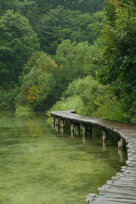 Along the Lake Wood Cabins, Trip Planner, Green House, Garden Cottage, Nature Aesthetic, Pretty Places, Beautiful World, Secret Garden, Beautiful Landscapes