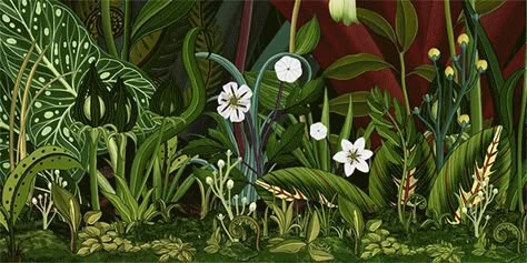 Katie Scott, Illustration Botanique, Colossal Art, Flowers Gif, Botanical Wallpaper, Common Themes, Different Flowers, Blooming Flowers, Botanical Illustration