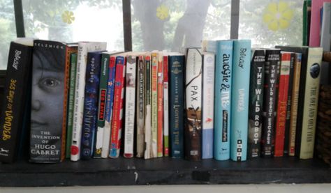 Window Sill Bedroom, Window Sill Shelf, Hugo Cabret, One And Only Ivan, Window Sill Decor, Window Siding, Window Sills, Bow Window, Framed Photographs