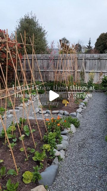 Dense Planting, Vege Garden Ideas, Rustic Arbor, Yard Ideas Backyard, Bamboo Trellis, Modern Backyard Landscaping, Planting Plan, Garden Decor Diy, Vintage Garden Decor