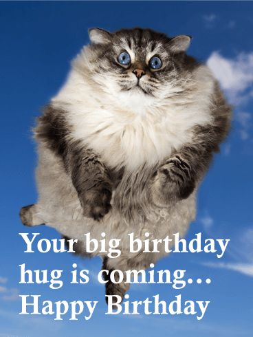 Big Birthday Hug is Coming! Funny Birthday Card Funny Birthday Pictures, Cat Birthday Funny, Cat Birthday Cards Funny, Happy Birthday Uncle, Funny Happy Birthday Images, Happy Birthday Cat, Birthday Hug, Funny Happy Birthday Wishes, Happy Birthday Card Funny