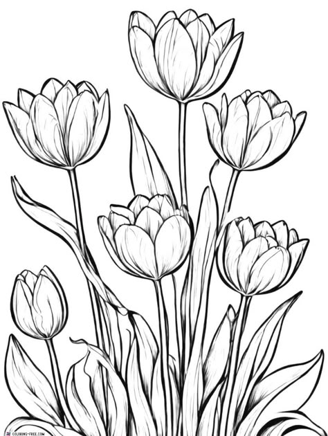 Easter Flowers Drawing, Flower Colouring Pages, Sketching Flowers, Paper Art Drawing, Coloring Adult, Book Coloring Pages, Flower Outline, Bee Tattoo, Flower Sketches