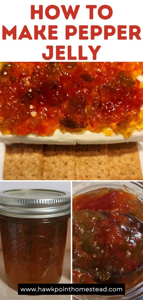 Pepper jelly is one of the greatest jelly recipes This sweet and spicy pepper jelly recipe is an easy recipe and results in such a delightful and delicious jelly. The pepper jelly is so wonderful to serve at any get-together. Pair it with cream cheese and crackers and no one can resist! Also great as a glaze on pork, lamb, beef or chicken!  Pepper jelly also makes a great gift for any occasion. You can also control the spice level and make it super spicy or mild. Thai Pepper Jelly, Sweet Pepper Jelly Recipe Easy, Spicy Pepper Jelly Recipe, Easy Pepper Jelly Recipe No Pectin, Hot Pepper Jelly Recipe Cream Cheeses, Keto Pepper Jelly Recipe, Easy Hot Pepper Jelly Recipe, Cowboy Jelly, Mild Pepper Recipes