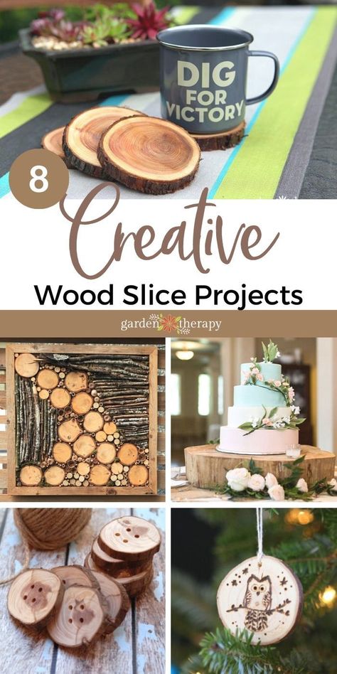 Wooden Slices Crafts, Diy Tree Trunk Projects Wood Slices, Oak Tree Wood Projects, Tree Trunk Slices Ideas, Things To Make With Wood Slices, Cut Down Tree Ideas, Tree Rounds Crafts Wood Slices, Tree Rounds Ideas, Tree Trunk Ideas Diy