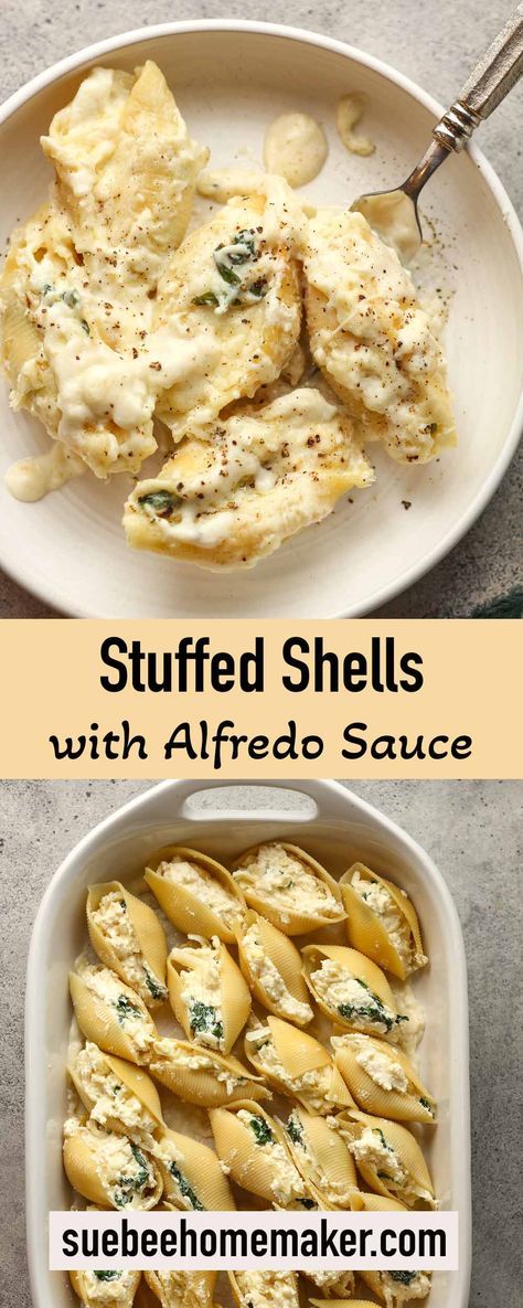 Stuffed Shells with Alfredo Sauce is a delicious Italian dish, featuring large pasta shells filled with a rich three-cheese blend. This is a crowd favorite and can be prepped ahead of time! Pasta For 20 People, Shrimp Alfredo Shells, Ronzoni Stuffed Shells Recipe, Stuffed Shells No Red Sauce, Mac And Cheese Stuffed Shells, Stuffed Shells With Cream Sauce, Dinner Ideas Fast And Easy, Dinner Ideas For A Crowd Large Families, Alfredo Shells Stuffed