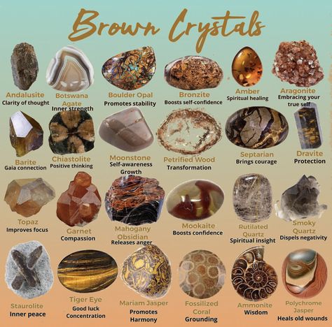 Focus Crystals, Colour Descriptions, Colour Magick, Crystal Knowledge, Brown Gemstones, Crystal Shops, Crystal Identification, Raw Gemstones Rocks, Brown Crystals