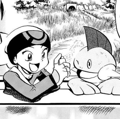 Pokespe Ruby, Pokémon Manga, Pokémon Icons, Pokemon Adventures, Pokemon Adventures Manga, Pokemon Manga, Pokemon Special, Pocket Monsters, Manga Art