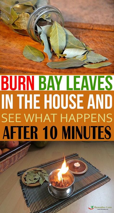 Burn Bay Leaves In The House And See What Would Happen After 10 Minutes! - Sonia Roberts - Medium Burn Bay Leaves, Bay Leaf Tea, Bay Laurel Tree, Burning Bay Leaves, Thigh Workouts, Laurel Tree, Bay Leaves, We Are The World, Trik Fotografi