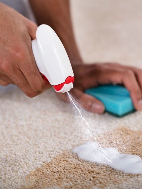 Rug Cleaning Hacks, Rug Cleaning Diy, Best Carpet Stain Remover, Coffee Stain Removal, Cleaning Area Rugs, Clean Carpet, Stain Remover Carpet, Carpet Stain, Removing Carpet