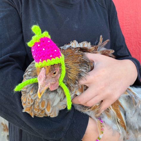 Baby chicken costume