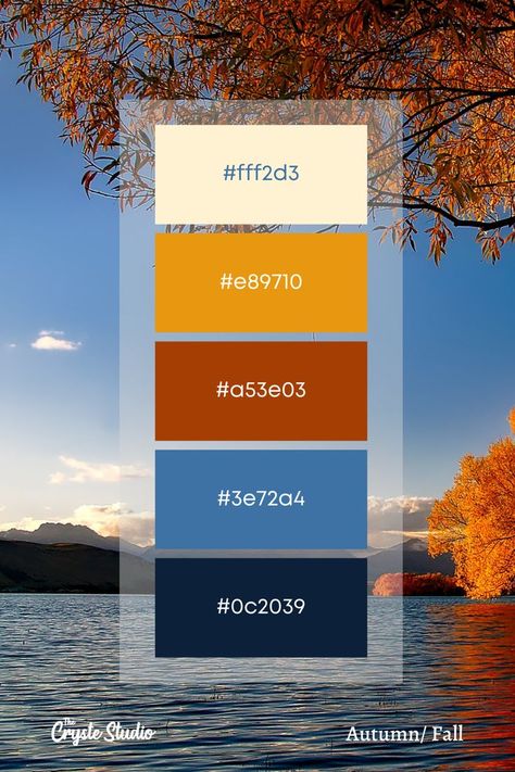 Color Palette Hex Codes, Autumn Color Palette, Hex Codes, Brand Color Palette, Passive House, Fall Color Palette, Orange Aesthetic, Colour Board, Journal Doodles