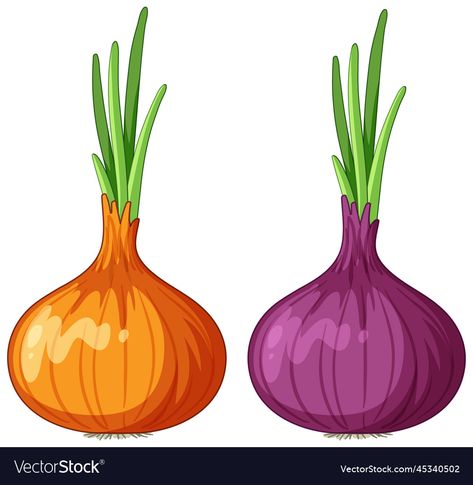 Fruit Art, Shallots, Food Illustrations, Paper Dolls, Art Girl, Png Images, Vector Images, Vector Free, Anime Art