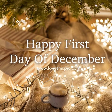 1st December Wishes, 1st December Quotes Christmas, Happy 1st December Quotes, First December Quotes, Happy Sweet December, First Day Of December Quotes, 1st December Quotes, Happy December 1st Quotes, 1 December Quotes