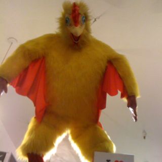 Giant Chicken suit! Chicken Suit, Chicken Suits, Giant Chicken, Parrot, Chicken, Animals, Quick Saves