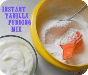 Homemade Instant Vanilla Pudding Mix | AllFreeCopycatRecipes.com Instant Pudding Recipes, Vanilla Pudding Recipes, Cooking Easy Recipes, Homemade Vanilla Pudding, Homemade Dry Mixes, Homemade Pudding, Cooking Easy, Recipes Family, Instant Pudding Mix