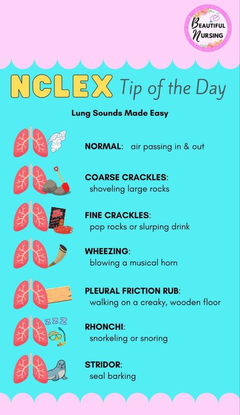 Nursing School Prep, Nursing School Studying Cheat Sheets, Nurse Skills, Nursing Study Tips, Lung Sounds, Paramedic School, Nursing School Essential, Nursing School Motivation, Medical School Life