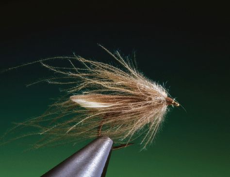 Caddis Flies, Fly Box, Body Hair, Fly Tying, Fly Fishing, Around The World, Fishing, Quick Saves