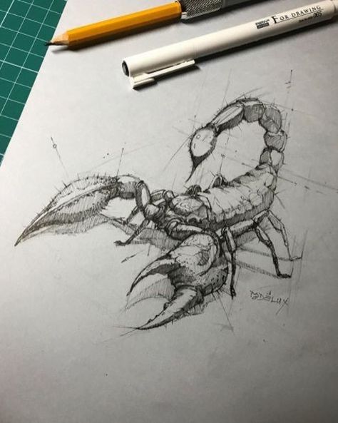 ... A Pen, A Pencil, A Drawing, Pencil Drawing, Scorpion, Pencil, Pen, Instagram