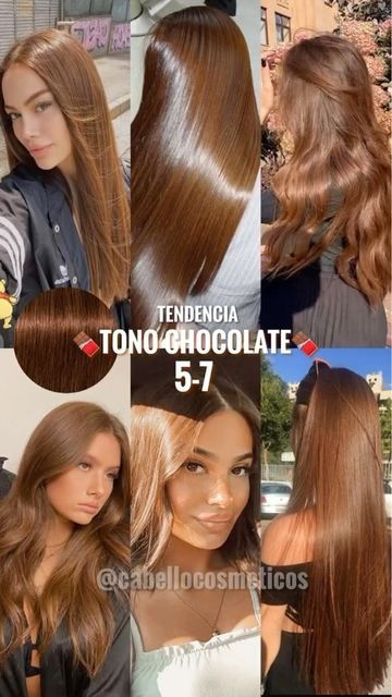 CabelloCosmeticos on Instagram: "TONO EN TENDENCIA CHOCOLATE COBRIZO 5-7 IGORA ROYAL❤️😍 ¿Lo usarías? ⭐️🍫 Estos son los mejores tintes con una compensación de color perfecta, duración del color prolongada con una excelente cobertura. Cuida el tono en casa con PROKPIL 🤩 🤎 ✨Tratamiento Prokpil para tonos Chocolate: Realza el color y matiza tonos indeseados sin químicos. Ideal usar una vez por semana. Utiliza su Agua Oxigenada Igora Royal para mejores resultados 👏🏼 Comenta IGORA y te enviamos toda la información ⬇️ ⭐️ Con gusto le atenderemos y te asesoramos de forma personalizada 💝 Contacto Whatsapp 📲 04123829416 o por Mensajería Directa 📩 📍Encuéntranos en el Stand Físico del Sambil Caracas (Plaza Central, Nivel Autopista) Stand Blanco con Morado💜" Color Formulas, Hair Color Chocolate, Brown Hair Looks, Brown Hair Inspo, Hair Color Formulas, Brunette Hair With Highlights, Ginger Hair Color, Highlights For Brunettes, Summer Hair Highlights