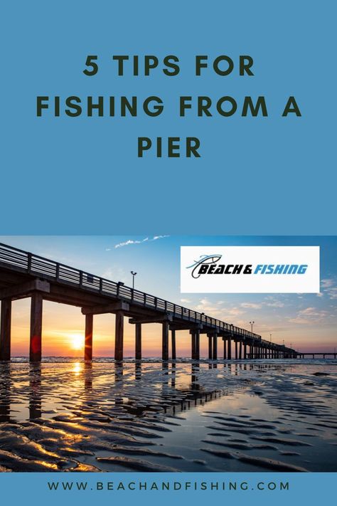 Florida Fishing, Fishing Basics, Fishing For Beginners, Fishing Pier, Fishing Rigs, Ocean Fishing, Fishing Supplies, Beach Fishing, Pier Fishing