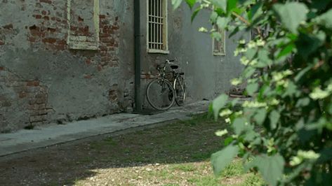 Beautiful Movies, Italy 1983, Somewhere In Northern Italy 1983, Home For Peculiar Children, Call Me By Your Name, Italy Aesthetic, Italian Summer, Aesthetic Gif, Northern Italy