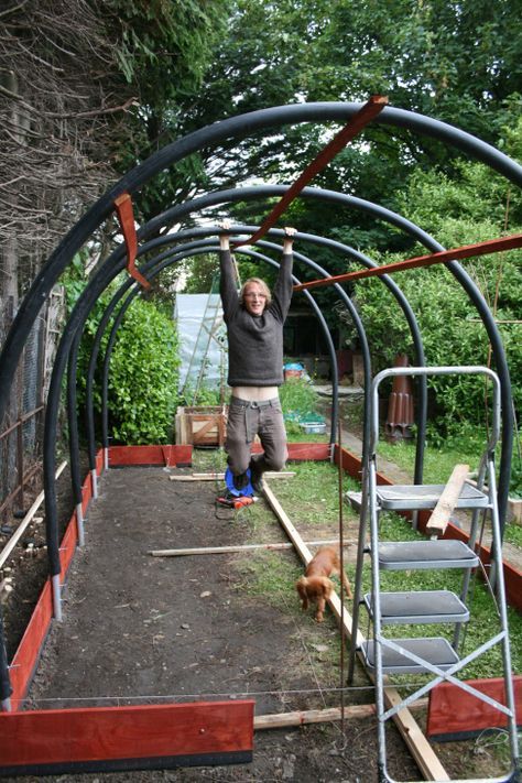 Polytunnel Gardening, Diy Greenhouse Plans, Cattle Panels, Build A Greenhouse, Home Greenhouse, Greenhouse Ideas, Backyard Greenhouse, Permaculture Design, Small Greenhouse