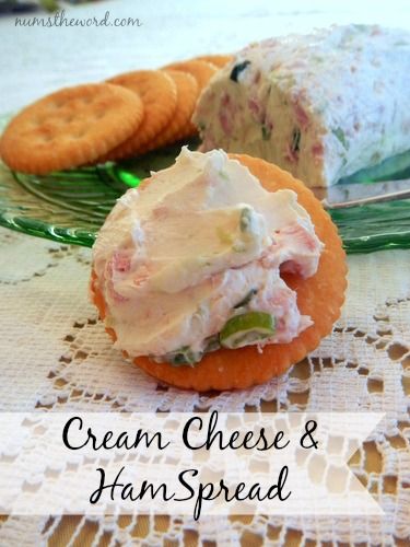 Cream Cheese & Ham Spread it's a simple and delicious appetizer or snack ~ It takes only a few minutes to whip this up!! #appetizer #snack #partyfood #creamcheese #ham #leftoverham #crackers #spread #cheeseball #cheeselog #christmas #thanksgiving #easter #gameday #tailgate #recipe #numstheword Ham Spread Recipe, Ham Spread, Patch Skirt, Homemade Ham, Cream Cheese Spread, Canned Ham, Diy Easy Recipes, Ham Salad, Cream Cheese Spreads