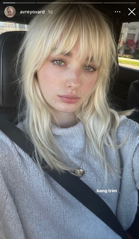 Avrey Ovard, Blonde Eyebrows, Dark Eyebrows, Blonde Bangs, Bleach Blonde Hair, Blonde Hair With Bangs, 일본 패션, Choppy Hair, Platinum Hair