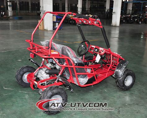 Source 110CC 2 Seater Cheap Gas Powered Go Kart with EEC EPA Certificate on m.alibaba.com 2 Seater Go Kart, Go Karts For Kids, Trike Scooter, Go Cart, Moto Scooter, Go Carts, Amazing Race, Dune Buggy, Go Kart