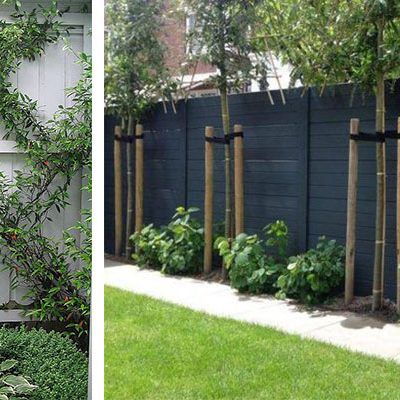 Privacy Fence Designs, Desain Lanskap, Backyard Privacy, Diy Fence, Fence Landscaping, Contemporary Garden, Backyard Fences, Garden Fencing, Fence Design