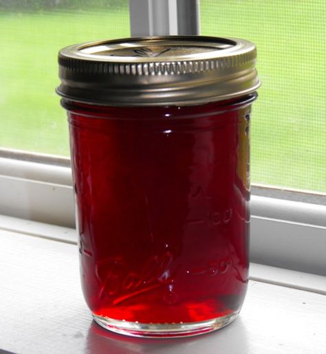 Strawberry Jelly Recipe Canning, Strawberry Jelly Recipes, Leftover Strawberries, Ball Blue Book, How To Make Jelly, Canning Fruit, Canning Vegetables, Canning Jam, Homemade Jelly