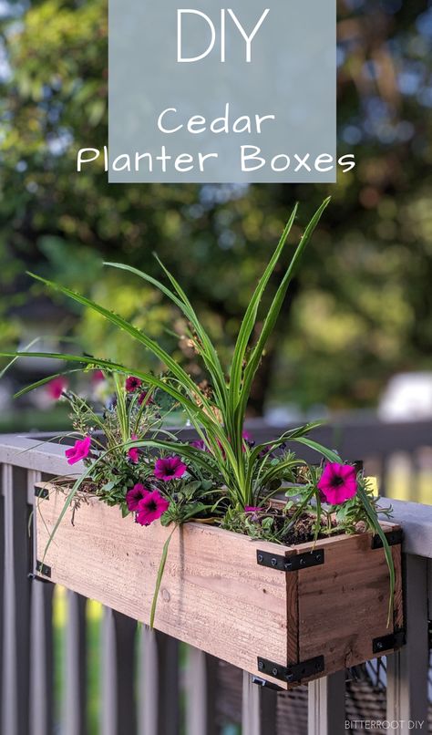 DIY Planter Boxes | build your own cedar planter boxes with plans from Bitterroot DIY – perfect for window boxes or to decorate the porch or patio . #patioinspo #modernfarmhouse #outdoorliving #deckdesign #patiodesign Diy Cedar Planter, Cedar Planter Boxes, Diy Cedar Planter Box, Planter Box Plans, Cedar Planter Box, Cedar Planters, Window Planters, Diy Planter Box, Wooden Planter