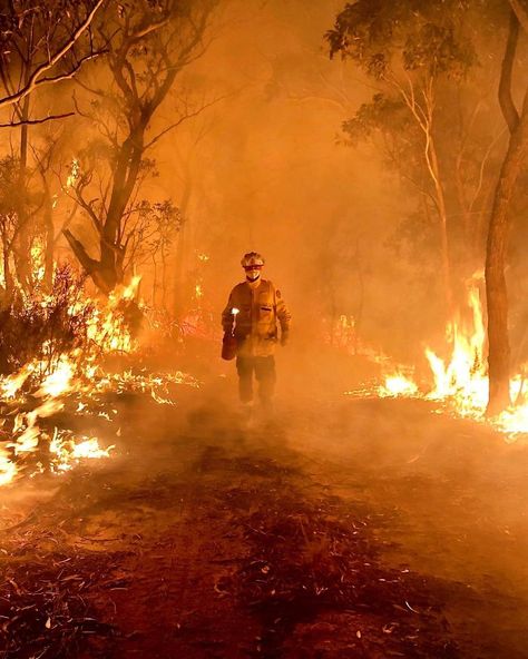 Australia Fires Bushfires In Australia, Australia Wallpaper, Wildland Fire, Cairns Australia, Wildland Firefighter, Fire Image, Volunteer Firefighter, Surreal Photos, Australian Bush