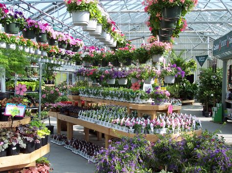 Annual greenhouse at W & W Nursery Apalachin,NY Houseplant Display, Greenhouse Nursery, Basket Display, Garden Center Displays, Plant Watering System, Greenhouse Growing, Small Greenhouse, Greenhouse Kit, Greenhouse Plans